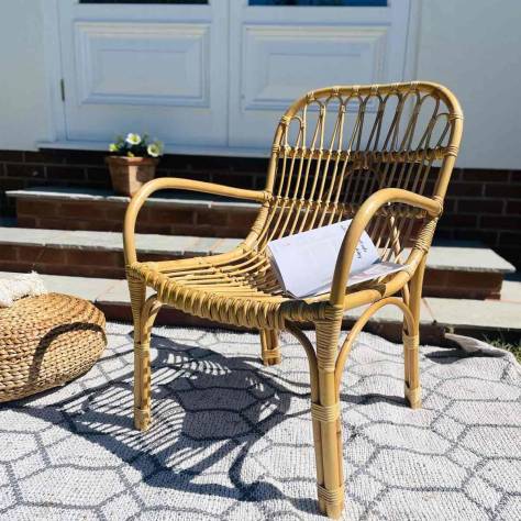 Wicker Chair in Dadra And Nagar Haveli And Daman And Diu